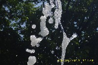 img_0012.jpg
