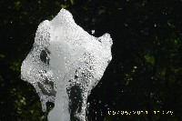 img_0015.jpg