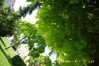 img_0027.jpg