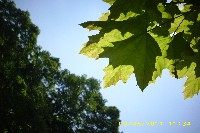 img_0028.jpg