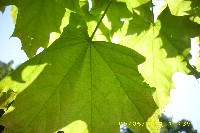 img_0030.jpg