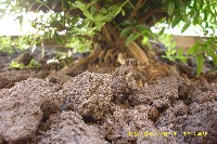 img_0056.jpg