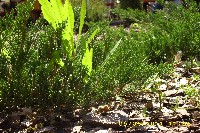 img_0065.jpg