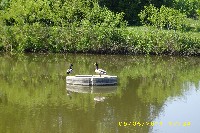 img_0085.jpg