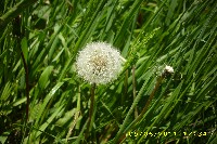 img_0087.jpg