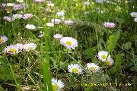 img_0091.jpg