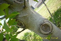 img_0097.jpg