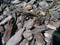s3600020.jpg