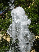 sam_2317.jpg