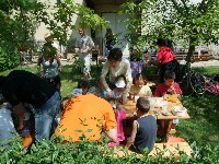 k_p_119.jpg