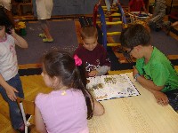 dsc03781.jpg