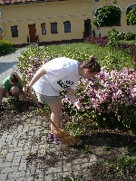 p1190098.jpg