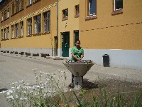 p1120315.jpg