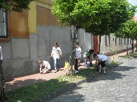 p5202226.jpg