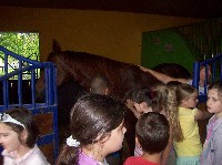 100_7136.jpg