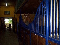100_7137.jpg