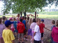 100_7138.jpg