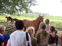 100_7140.jpg