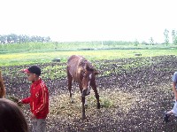 100_7141.jpg