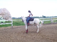 100_7143.jpg