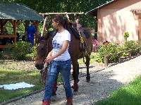 100_7163.jpg