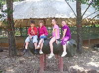 100_7186.jpg