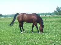 100_7188.jpg