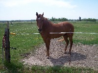 100_7189.jpg