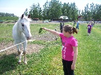100_7190.jpg