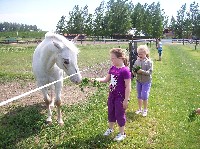 100_7191.jpg