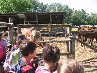 img_2898.jpg