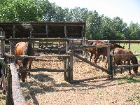 img_2899.jpg