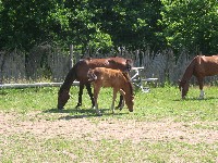 img_2901.jpg