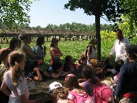 img_2905.jpg