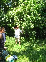 img_2908.jpg