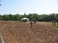img_2920.jpg