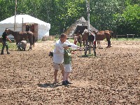 img_2930.jpg