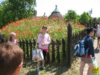 img_2932.jpg
