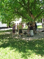 img_2934.jpg