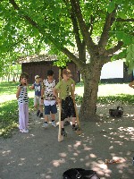 img_2936.jpg