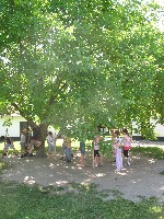 img_2939.jpg