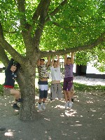 img_2942.jpg