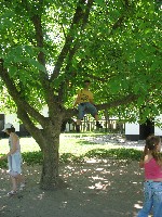 img_2943.jpg