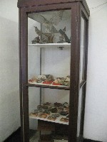 img_2991.jpg