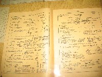 img_2995.jpg