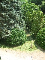 img_2802.jpg