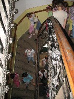 img_2805.jpg