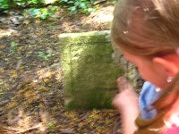 img_2813.jpg
