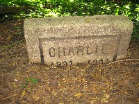 img_2815.jpg