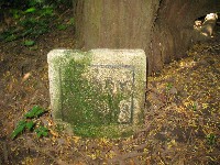 img_2816.jpg